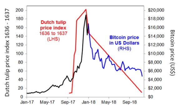 Tulip Mania Vs Bitcoin Chart